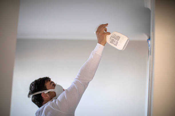 Best Professional Mold Removal  in Holland, MI