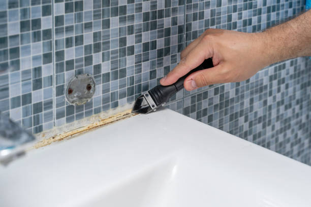 Best Toxic Mold Removal  in Holland, MI