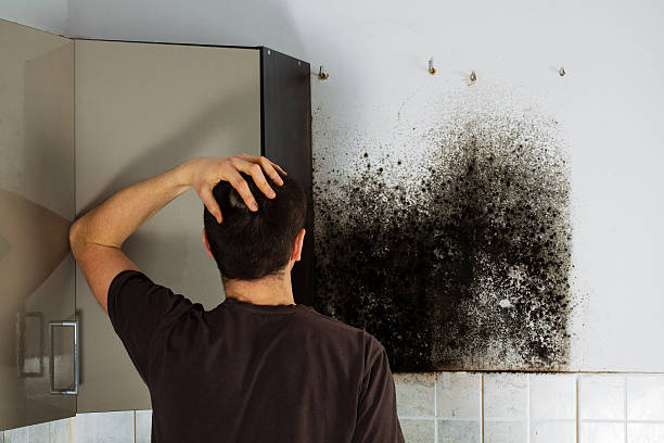 Water Damage Restoration in Holland, MI